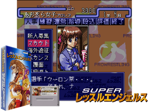 Game Thumbnail - Super Wrestle Angels (J)